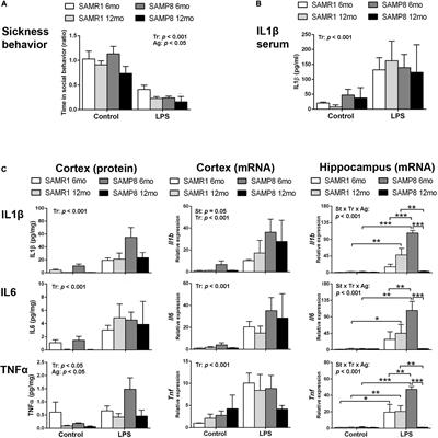 Microglial Hyperreactivity Evolved to Immunosuppression in the Hippocampus of a Mouse Model of Accelerated Aging and Alzheimer’s Disease Traits